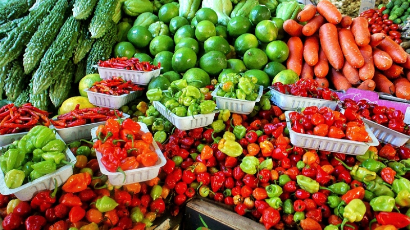 primeur-ST MARTIN DU VAR-min_farmers-market-1329008